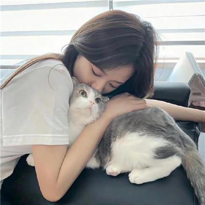 狐狸与我国语